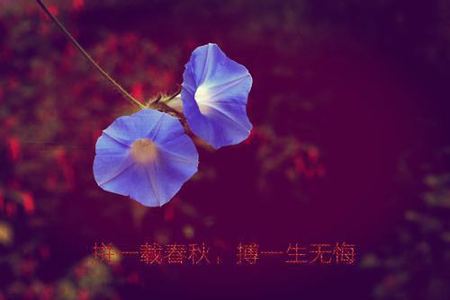 傅玉承桑晚江铭免费小说 傅玉承桑晚江铭完结版在线阅读