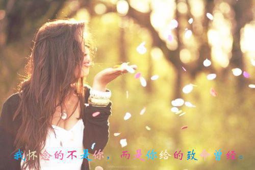 格格八旗完整未删减版在线阅读 格格八旗结局