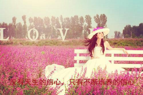 周珩白芷顾淮免费全本小说 周珩白芷顾淮章节目录