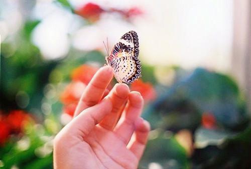 伯尔杰米艾斯全文最新章节正版小说免费阅读