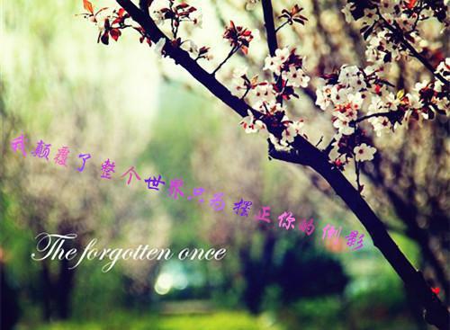 姜岁岁陆南承(姜岁岁陆南承)小说全文免费阅读无弹窗大结局_（姜岁岁陆南承全文免费阅读）姜岁岁陆南承最新章节列表（姜岁岁陆南承）