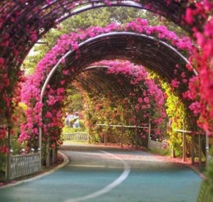 林悦明霍廷希小说最新章节 林悦明霍廷希免费阅读