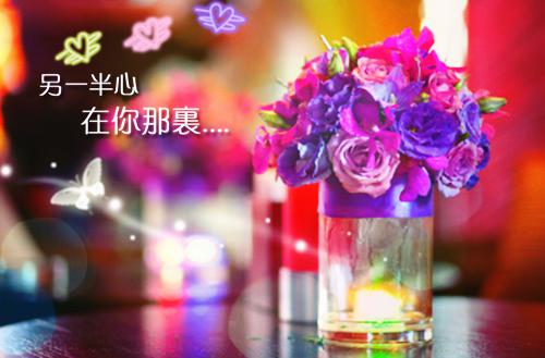 姜雨棠沈如诲免费小说 姜雨棠沈如诲完结版在线阅读