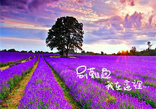 (抖音小说)吴笑笑吴深吴楠楠免费阅读第3章