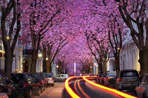 宋桑音江谚寻（宋桑音江谚寻全集无弹窗阅读）宋桑音江谚寻已完结小说全集完整版大结局（宋桑音江谚寻）最新章节列表