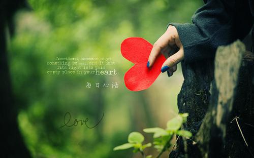 导盲犬被老公白月光杀后佚名 林尤歌陆昶***丹小说