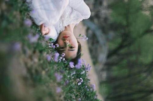 妻子为了小三，骗我签擂台生死状结局在线阅读 宋宴白芷苏浩辰完整版小说