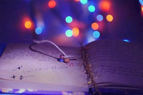 穿成黑红女明星，我一张嘴怼遍全网APP内免费阅读完整版(陆晚吟陆娇娇小说全集)