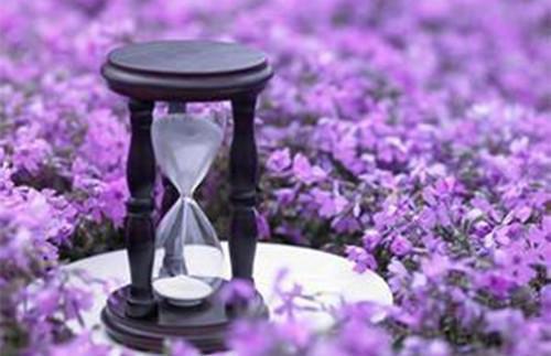 秦怏怏赫连诀小说完整版阅读-小说赫连诀秦怏怏全文免费阅读