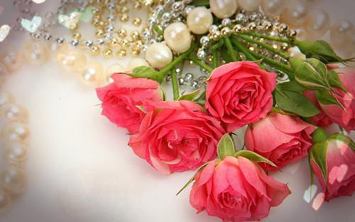 江心怡江澈沈清完整版 江心怡江澈沈清小说全文在线阅读