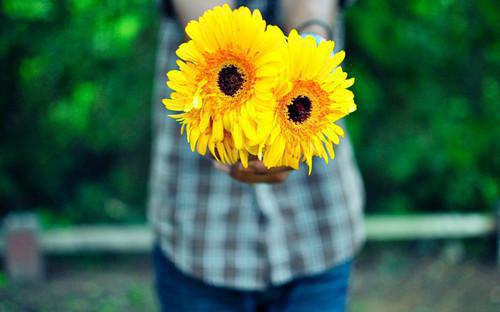 情涩难已(完整版)全文免费阅读顾寒辰乔楚一贺星语小说