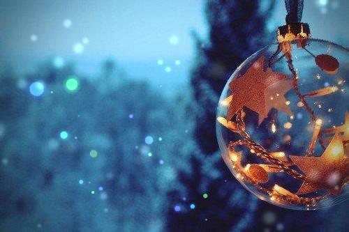 沈恒林涵小说全文免费阅读 沈恒林涵最新章节