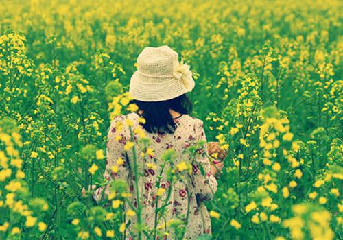 陈佳董浩铭小晴是啥小说 陈佳董浩铭小晴免费阅读无广告