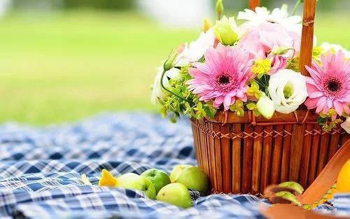 简行姜栀栀小说（姜栀栀简行）全文免费阅读结局-简行姜栀栀强推全文阅读无弹窗