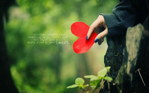 离婚后，前夫说自己错了何西袁白玫无广告小说免费在线阅读