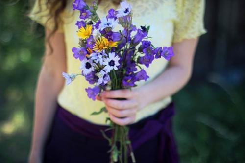 江听白林晟小说名字免费 穿成E级Alpha章节阅读