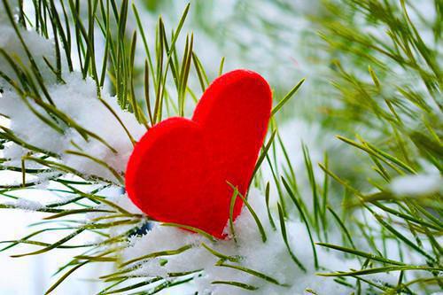 (抖音小说)陆晚晚傅言陆文杰小说全文阅读免费