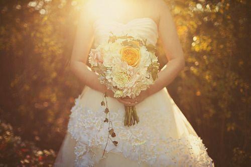 陆璟添戚归晚最新章节免费 陆璟添戚归晚第4章在线阅读