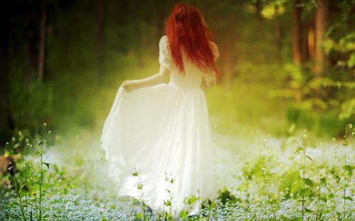 陈景姬如烟小说 陈景姬如烟完整版免费阅读