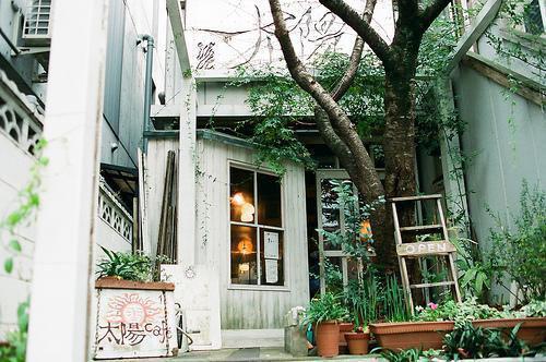 沈婉儿完整未删减版在线阅读 沈婉儿结局