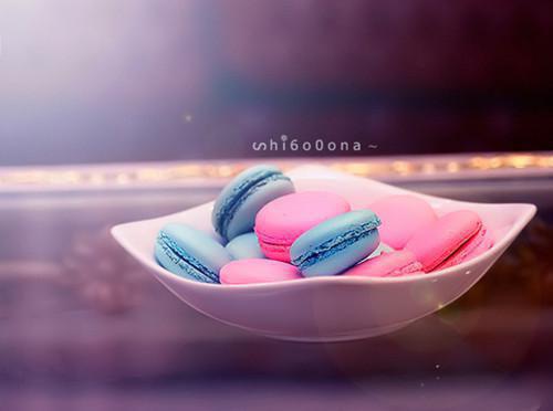 薄司寒沈微澜（薄司寒沈微澜）小说全文完整版免费阅读-薄司寒沈微澜小说最新章节免费阅读