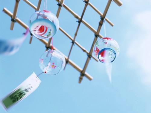 敖芷初冥霁寒小说全文免费阅读 敖芷初冥霁寒最新章节