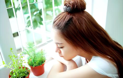 陈晚棠姜晏「免费小说」陈晚棠姜晏全集阅读