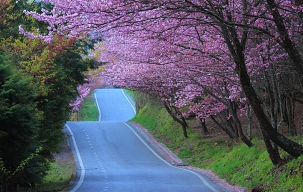 馊掉的面条18章在线阅读 然然全文阅读