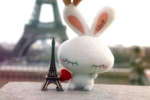 《女儿被婆婆和弟媳打残后,我杀疯了》最新章节无弹窗by二十二全本资源在线阅读