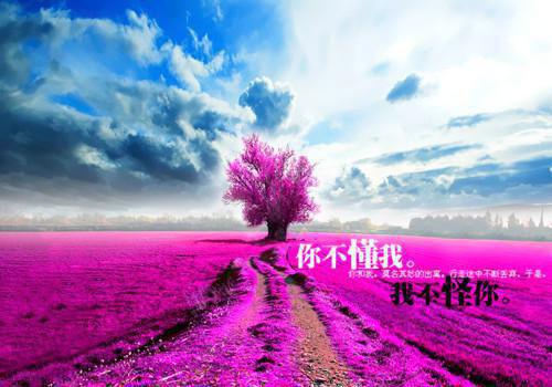 陆婉禾严尧烽小说最新章节 陆婉禾严尧烽免费阅读