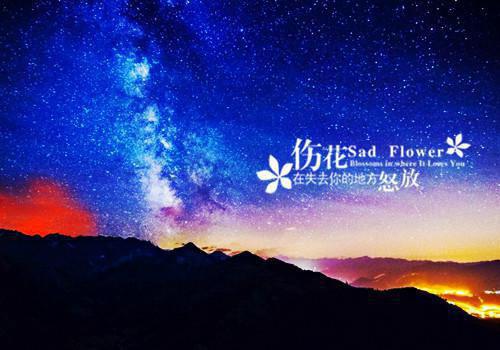 晏云舟秦今月完整版 晏云舟秦今月小说全文在线阅读