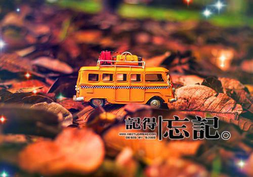 被堂妹抢亲,我嫁军官躺赢了陆玉珠于春玲完整版在线阅读全文