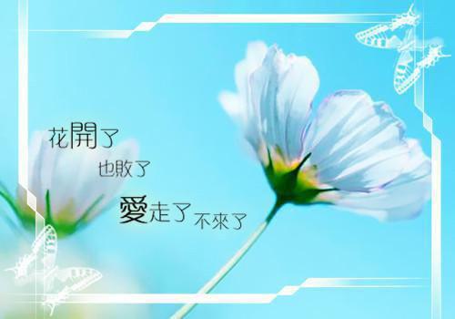 傅煜白江安宜（江安宜傅煜白）全文免费阅读无弹窗大结局_（江安宜傅煜白）的小说（傅煜白江安宜）最新章节列表