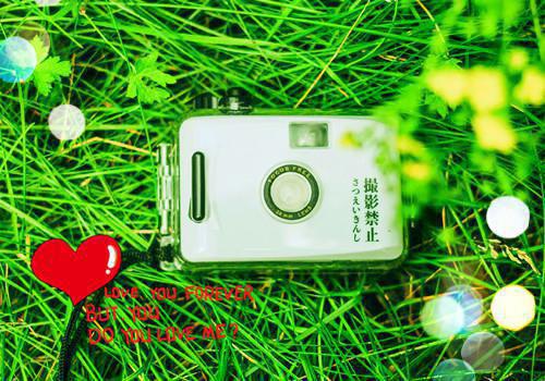 谢乐娅刘川陆辉是啥小说 谢乐娅刘川陆辉免费阅读无广告