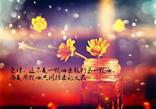谭冷妤次仁平措结局+番外（谭冷妤次仁平措）全文免费阅读无弹窗大结局_谭冷妤次仁平措完整版最新全章节