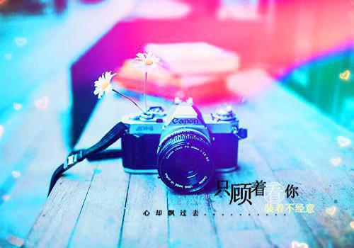 黎月陆修宁什么小说 黎月陆修宁全文免费阅读