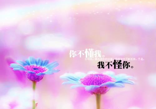 主角顾城秦时月小说免费阅读最新章节