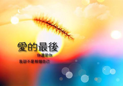 宋倾羽沈时安小说最新章节 宋倾羽沈时安免费阅读