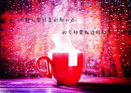 江心月傅云州小说免费阅读最新 江心月傅云州小说完整版