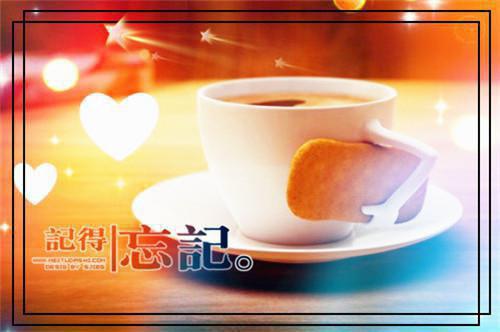 凤倾裴夙凤鸾全文免费 凤倾裴夙凤鸾在线阅读