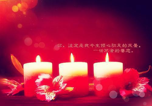 贺淼邵郡金心小说在哪里看 贺淼邵郡金心在线阅读第2章