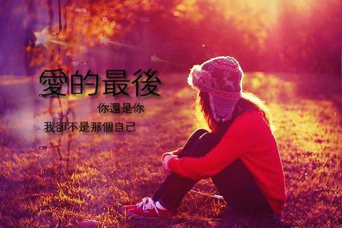 夺命导盲犬小说全集 舅舅微信内阅读