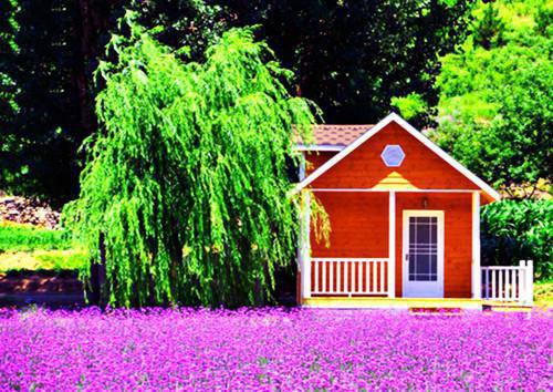 十年不期小说免费看 宋祈沈佳结局在线阅读