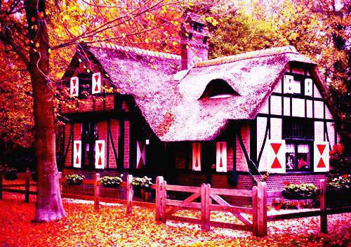 段笙楚清珩全文免费 段笙楚清珩在线阅读