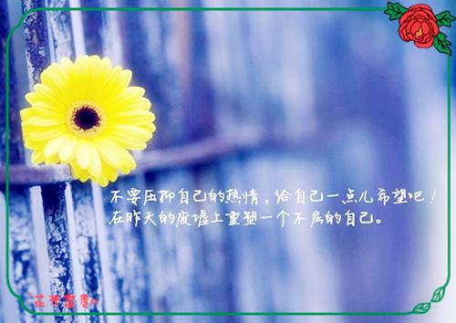 全家偏爱纯朴真千金？重生后我杀麻了小说全文 苏亦柔苏亦诗无删减无弹窗阅读