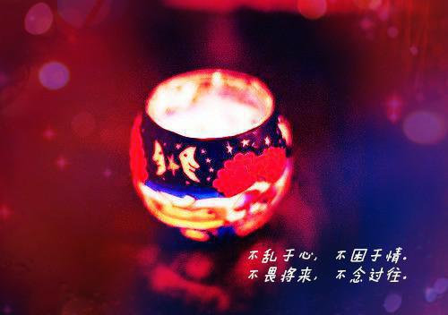 烟花冷却后不再爱她小说全文 苏星晚李谨辰大结局在线阅读