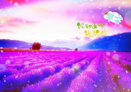 程诚星星最新章节免费 程诚星星在线阅读