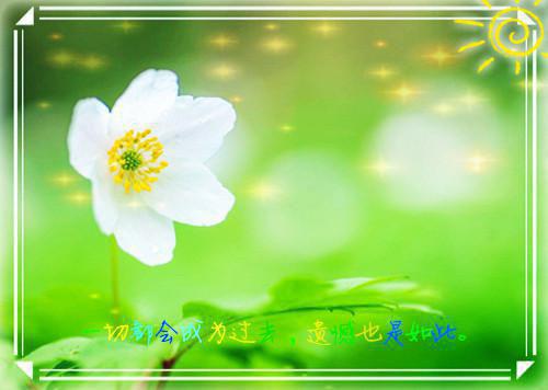 舒怡祁宇陈妍小说 舒怡祁宇陈妍免费全文阅读