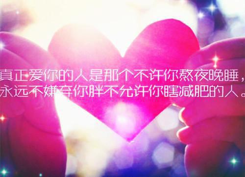 主角是姜芷夏清扬萧向意的小说免费阅读全文大结局