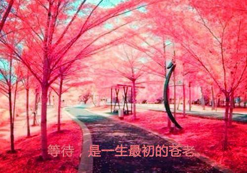都神豪了，我还怎么低调（纪曙,尹夜竹,邱千禾）全文免费_（纪曙,尹夜竹,邱千禾）都神豪了，我还怎么低调后续阅读（纪曙,尹夜竹,邱千禾）